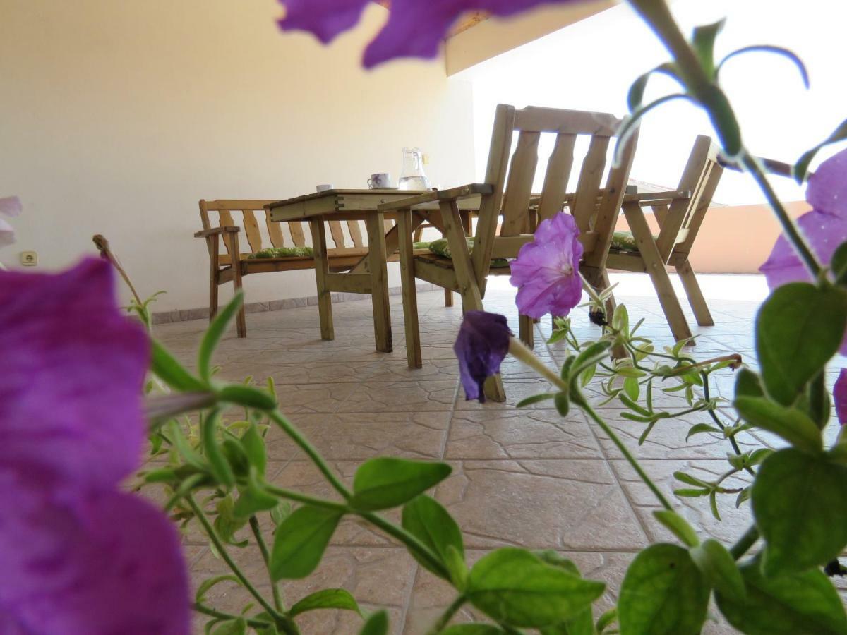 Guesthouse Dila Galovac  Exterior photo